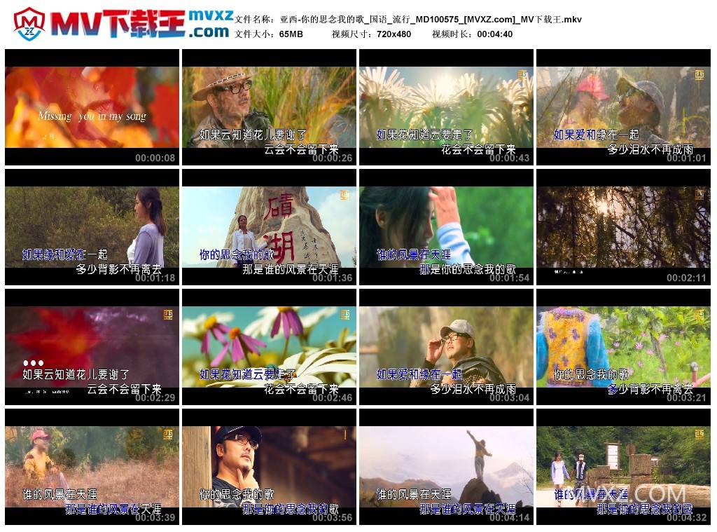 亚西-你的思念我的歌_国语_流行_MD100575